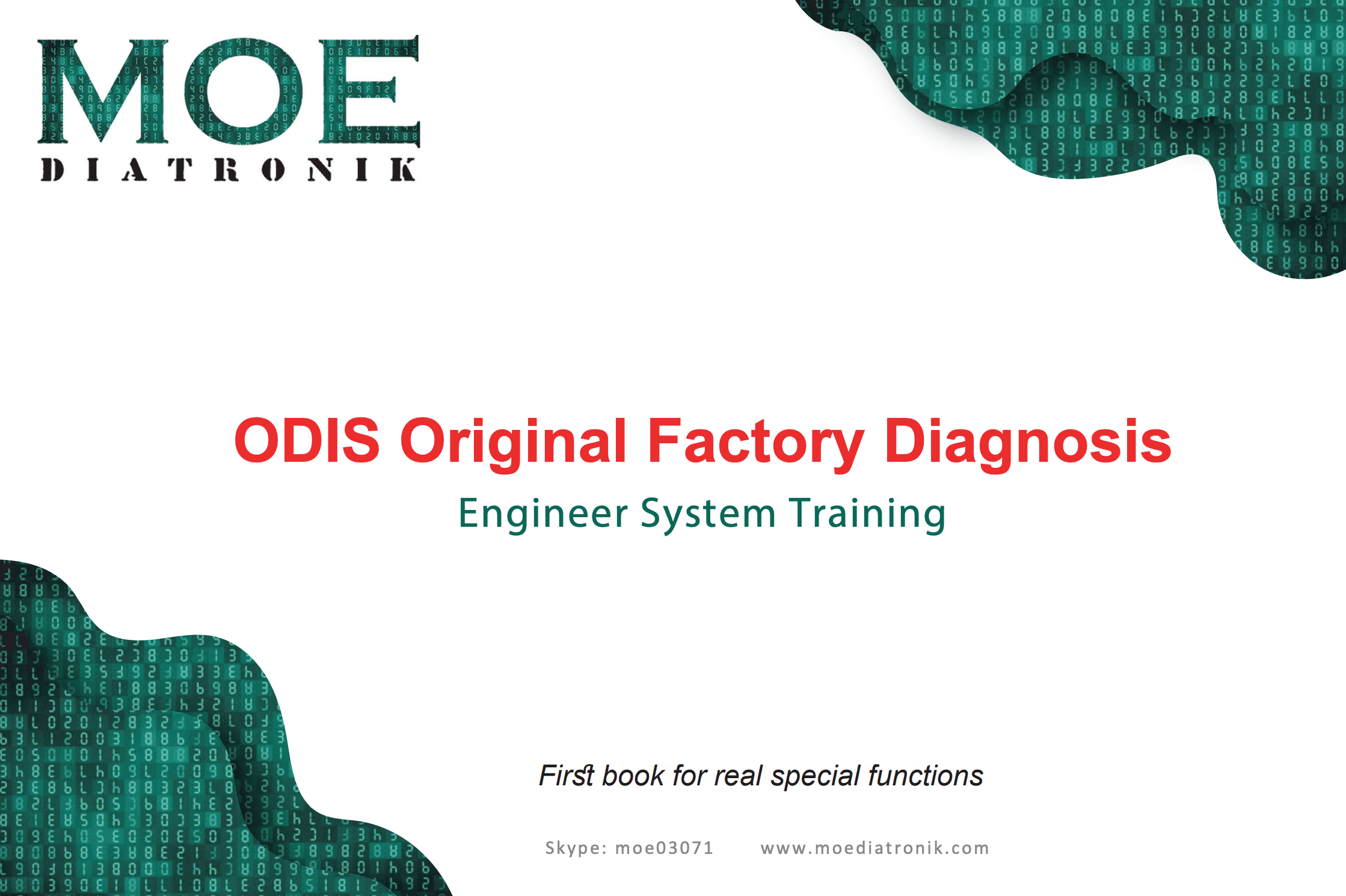 ODIS Original Factory Diagnosis — Engineer System Training